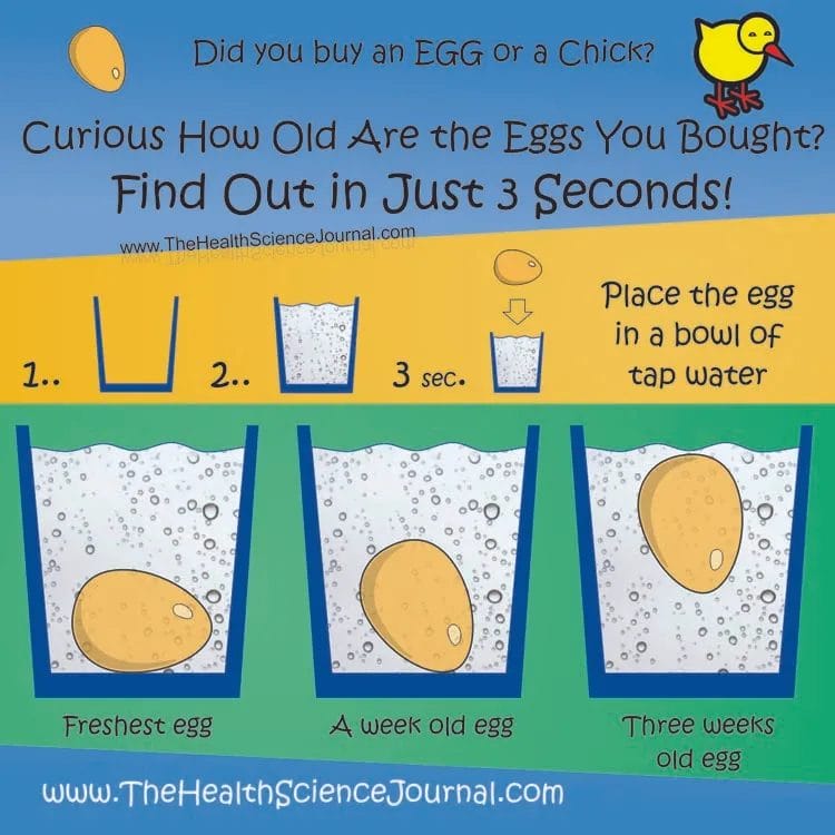 Floating Egg Test
