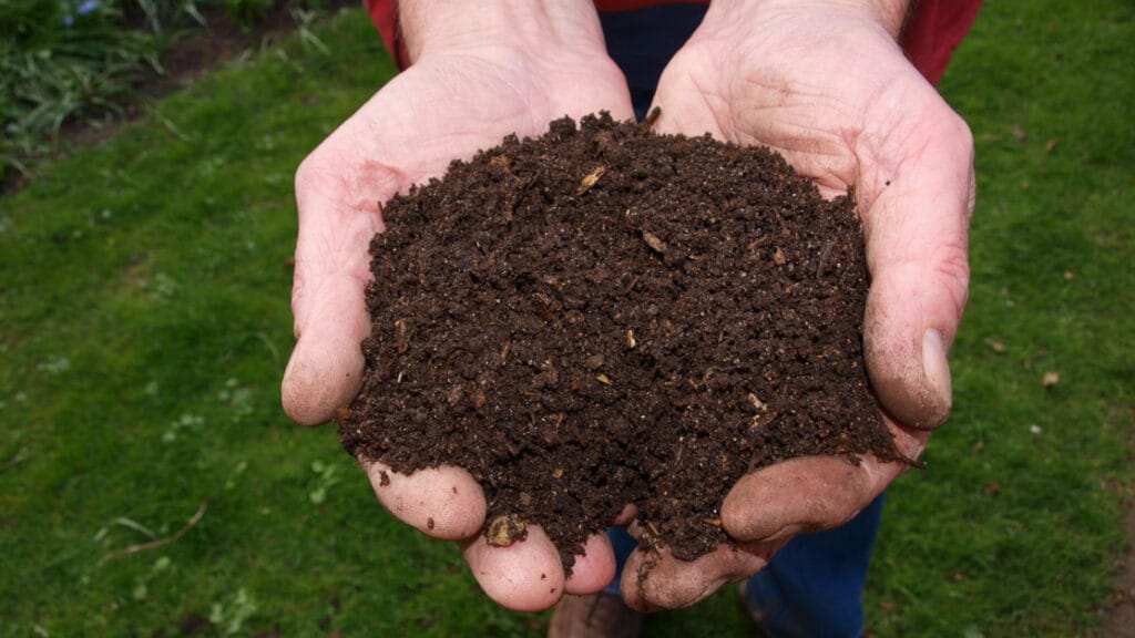 black gold compost