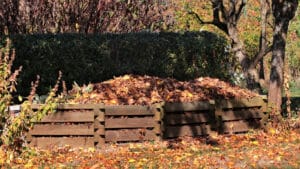 fall compost bin