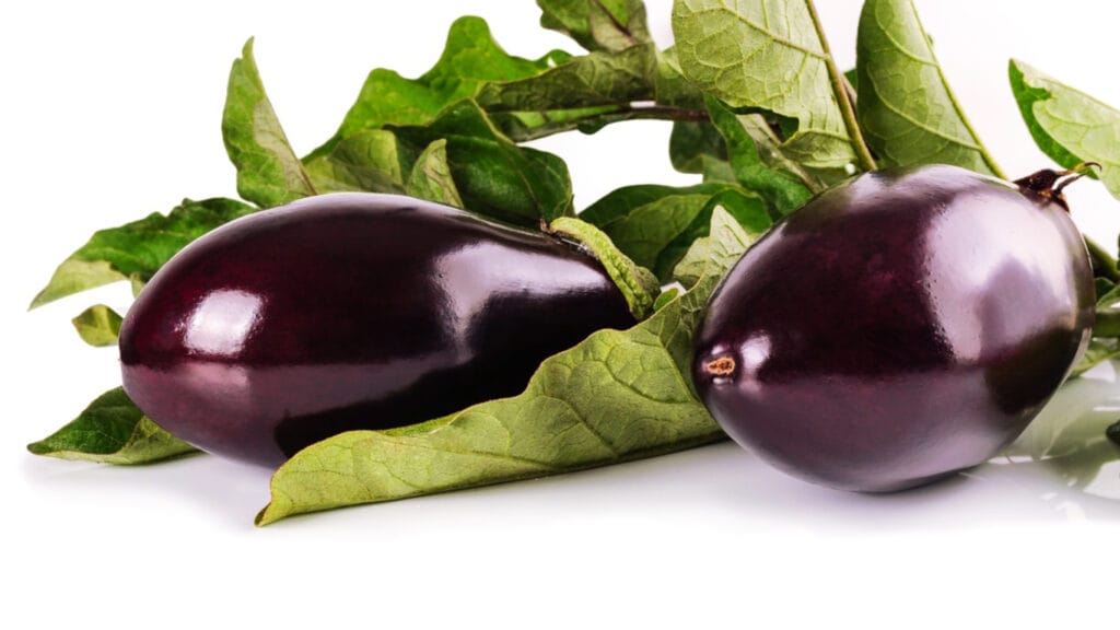 Are Eggplants Perennial? 7 Secrets To Year Round Eggplants! 3 Are Eggplants Perennial? 7 Secrets To Year Round Eggplants! are eggplants perennial?