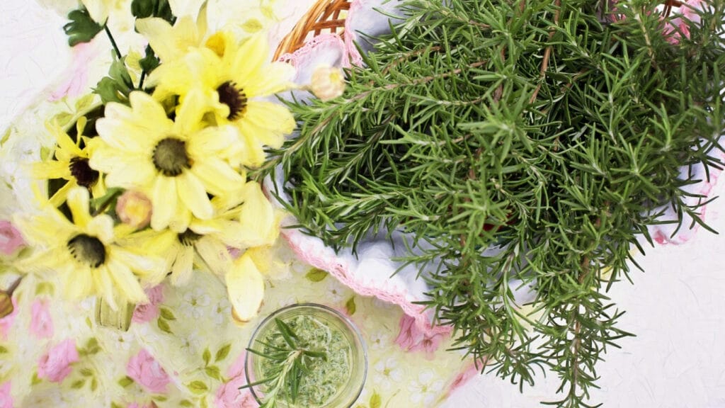 rosemary