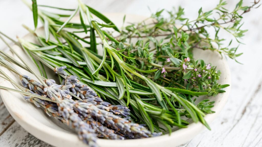 rosemary