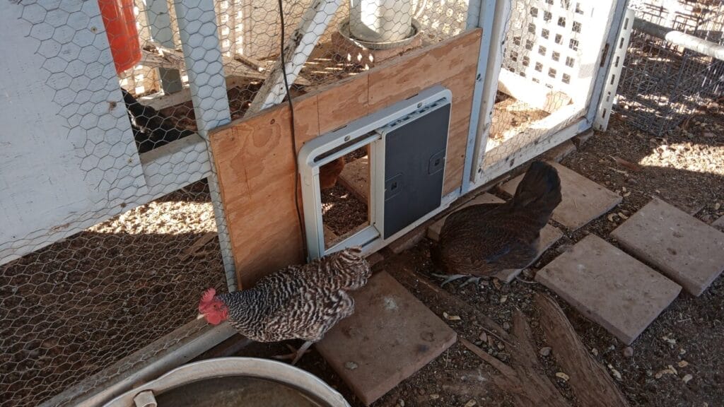Omlet Automatic Coop Door