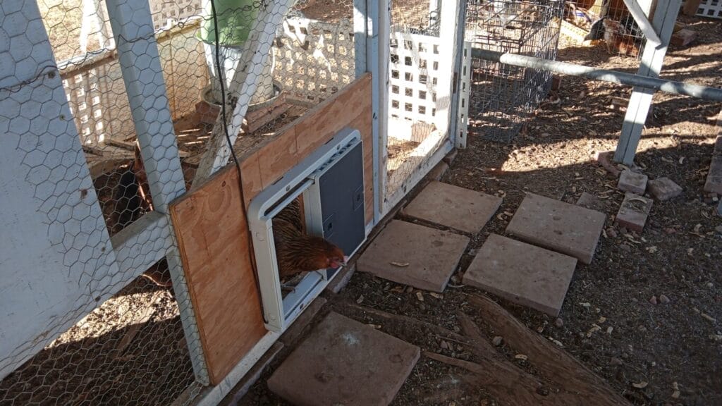 Omlet Automatic Coop Door
