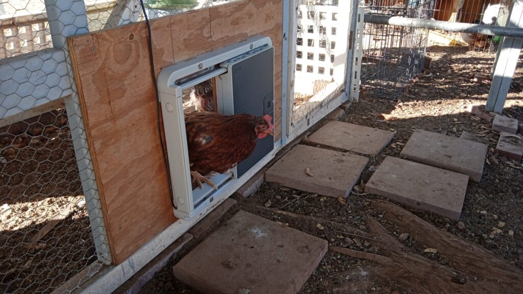 Omlet Automatic Coop Door
