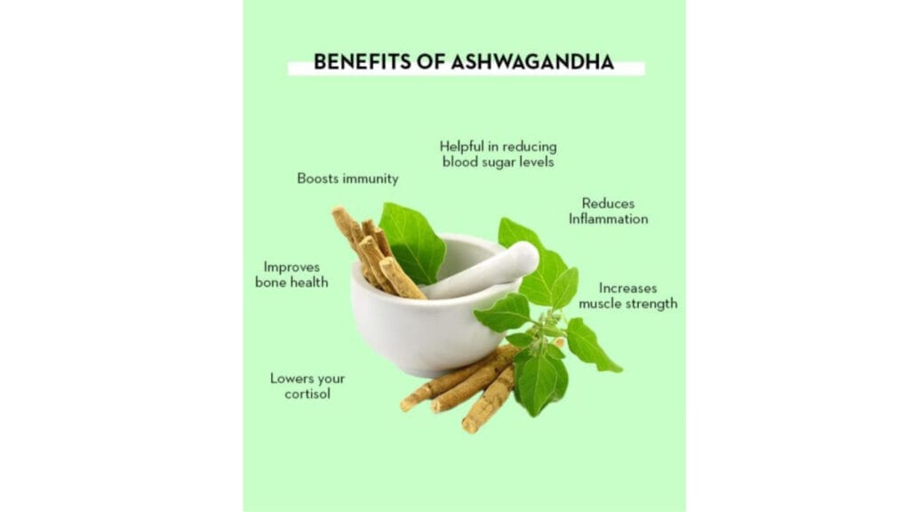 Unleash The Power of Ashwagandha For Anxiety, Stress, Testosterone And Sleep! 6 Unleash The Power of Ashwagandha For Anxiety, Stress, Testosterone And Sleep! Ashwagandha GuerrillaHomesteader.com