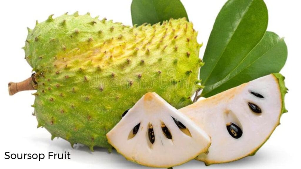 soursop GuerrillaHomesteader.com