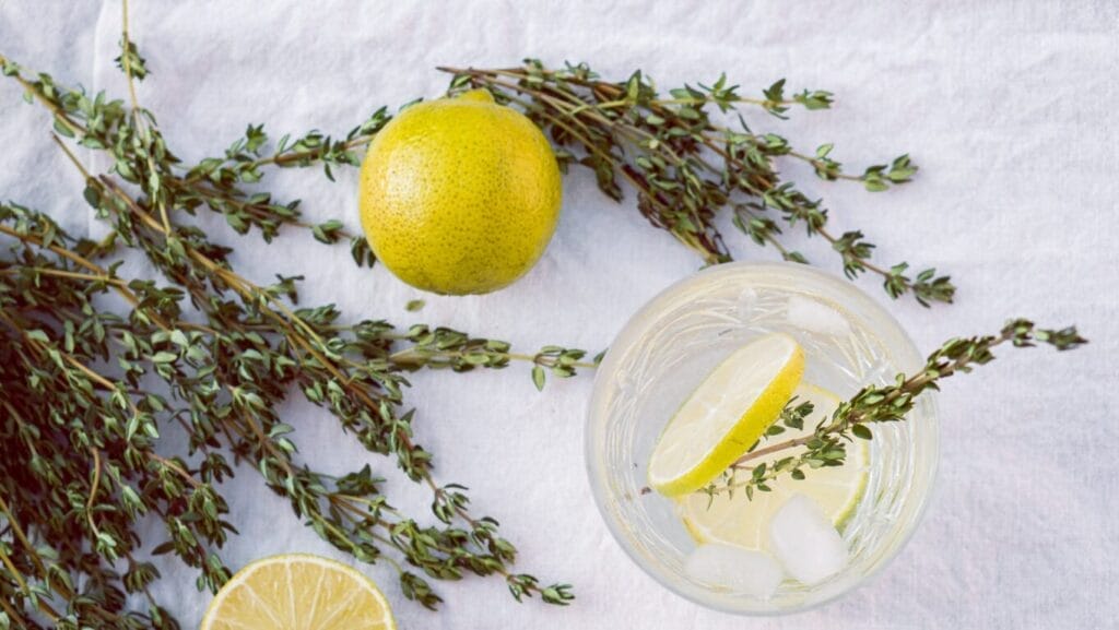 How to Germinate Creeping Thyme Seeds: Simple Steps for Success 7 How to Germinate Creeping Thyme Seeds: Simple Steps for Success https://guerrillahomesteader.com/how-to-germinate-creeping-thyme-seeds-simple-steps-for-success/